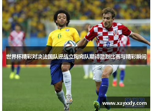 世界杯精彩对决法国队迎战立陶宛队期待激烈比赛与精彩瞬间